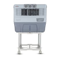AUSTER 55 L WOODWOOL WINDOW COOLER (WHITE)