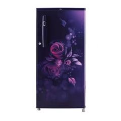 LG 185 L  3 Star Direct-Cool Single Door Refrigerator (GL-B199OBED, Blue Euphoria, Fast Ice Making)
