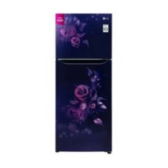 LG 242 L, 2 Star, Smart Inverter Frost-Free Double Door Refrigerator, Smart Connect (GL-N292BBEY, Blue Euphoria)