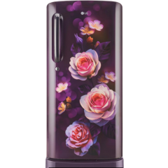 LG 185L 3 Star Direct-Cool Single Door Refrigerator (GL-D201APBD, Moist 'N' Fresh)