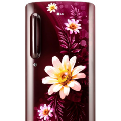 LG 185L 3 Star Direct-Cool Single Door Refrigerator (GL-D201ASHD, Moist 'N' Fresh)
