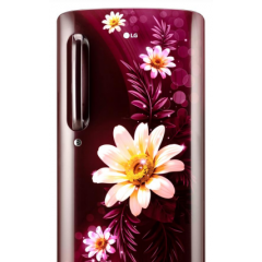 LG 185L 3 Star Direct-Cool Single Door Refrigerator (GL-D201ASHU, Moist 'N' Fresh)