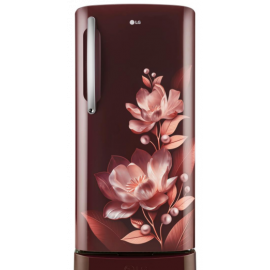 LG 210 L 3 Star Direct-Cool  Inverter Single Door Refrigerator (GL-D231ASMY, Base stand with drawer)