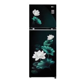 LG 246 L 3 Star Smart Inverter Frost-Free Double Door Refrigerator (GL-S262SELX, Emerald Lotus, Convertible)