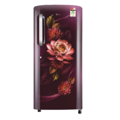 LG 185 L 3 Star Direct Cool Single Door Refrigerator with Fast Ice Making, Red Waterlily 2026 Launch