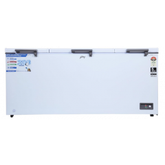 Godrej 600 L Triple Door Convertible Deep Freezer DH EPENTA 625E 3HCN RW