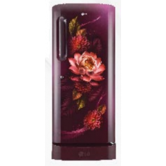 LG 210 L 5 Star Direct-Cool  Inverter Single Door Refrigerator (GL-D231ARWU, Base stand with drawer)