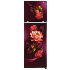 LG 242 L 2 Star Frost Free Inverter Double Door Refrigerator(GL-S292SRWY,  Red Waterlily, Convertible)