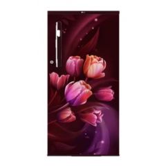 LG 185 Ltr, 1 Star, Scarlet Tulip Finish, Direct Cool Single Door Refrigerator GL-B199OSTB