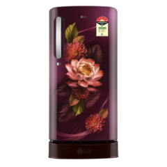 LG 185 L 5 Star Refrigerator Direct-Cool Single Door  (GL-D1956ZARW, Wine Color with Floral design)