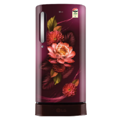 LG 185 L 4 Star Refrigerator Direct-Cool Single Door  (GL-D1946ZARW, Wine Color with Floral design)