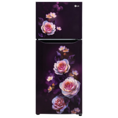 LG 242 L, 2 Star, Smart Inverter Frost-Free Double Door Refrigerator, Smart Connect, GL-N292DPBY
