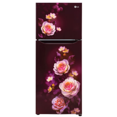 LG 242L 2 Star Inverter Frost-Free Double Door Refrigerator (GL-N292DSBY, Scarlet Bloom)