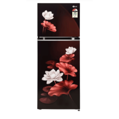 LG 242 L Frost Free Double Door 2 Star Refrigerator, GL-N292DSLY.DSLZEBN ( Scarlet Lotus )
