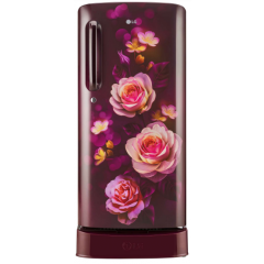 LG 185L 5 Star Direct-Cool Single Door Refrigerator (GL-D201ASBU, Moist 'N' Fresh)