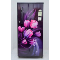LG 185 L 1 Star Direct-Cool Single Door Refrigerator (GL-D1816WOPT, Fast Ice Making)