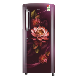 LG 185 L 3 Star Direct Cool Single Door Refrigerator with Fast Ice Making, Red Waterlily 2026 Launch