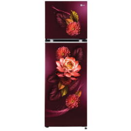 LG 242 L 2 Star Frost Free Inverter Double Door Refrigerator(GL-S292SRWY,  Red Waterlily, Convertible)