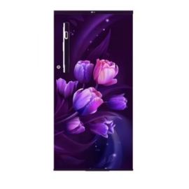 LG 185 Litres 1 Star Direct Cool Single Door Refrigerator with Stabilizer Free Operation GL-B199OPTB