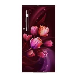 LG 185 Ltr, 1 Star, Scarlet Tulip Finish, Direct Cool Single Door Refrigerator GL-B199OSTB