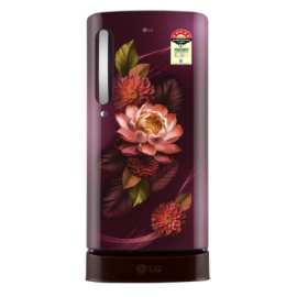 LG 185 L 5 Star Refrigerator Direct-Cool Single Door  (GL-D1956ZARW, Wine Color with Floral design)