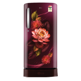 LG 185 L 4 Star Refrigerator Direct-Cool Single Door  (GL-D1946ZARW, Wine Color with Floral design)