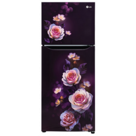 LG 242 L, 2 Star, Smart Inverter Frost-Free Double Door Refrigerator, Smart Connect, GL-N292DPBY
