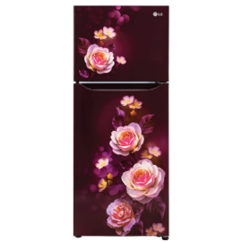 LG 242L 2 Star Inverter Frost-Free Double Door Refrigerator (GL-N292DSBY, Scarlet Bloom)