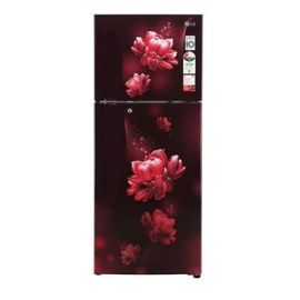 LG 242 L, 2 Star, Smart Inverter Frost-Free Double Door Refrigerator, Smart Connect GL-N292BSCY